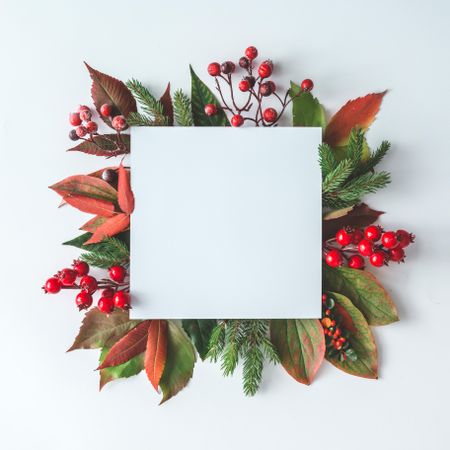 Winter leaves and berries with paper card