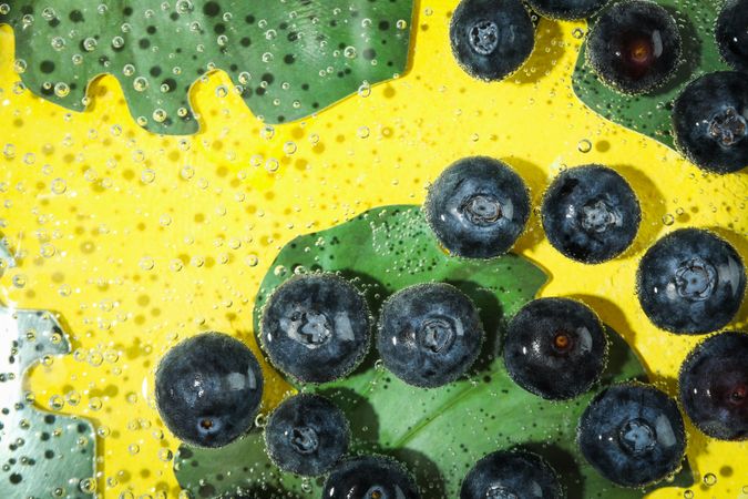 Top view of blueberries in water with leaves with copy space