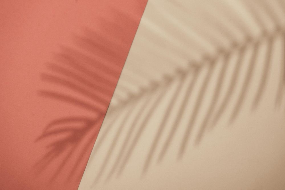 Top view of tropical leaf shadow on orange and sand color background