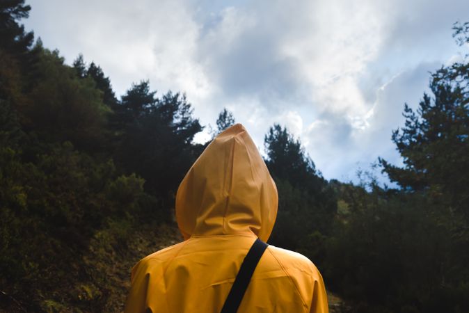 Person in yellow raincoat walking in forest