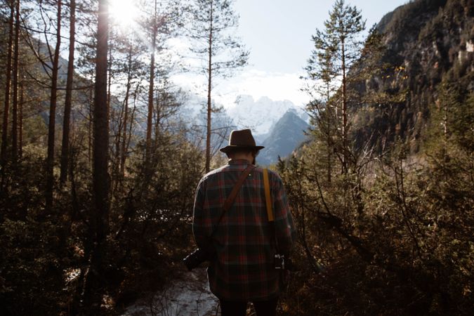 Man delighting in views of forest and mountains