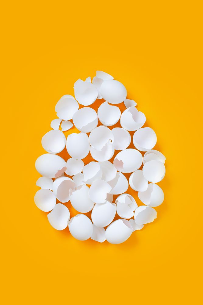 Broken egg shells in shape of egg