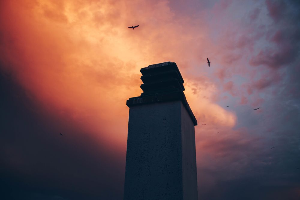 High tower and birds flying in pink sky