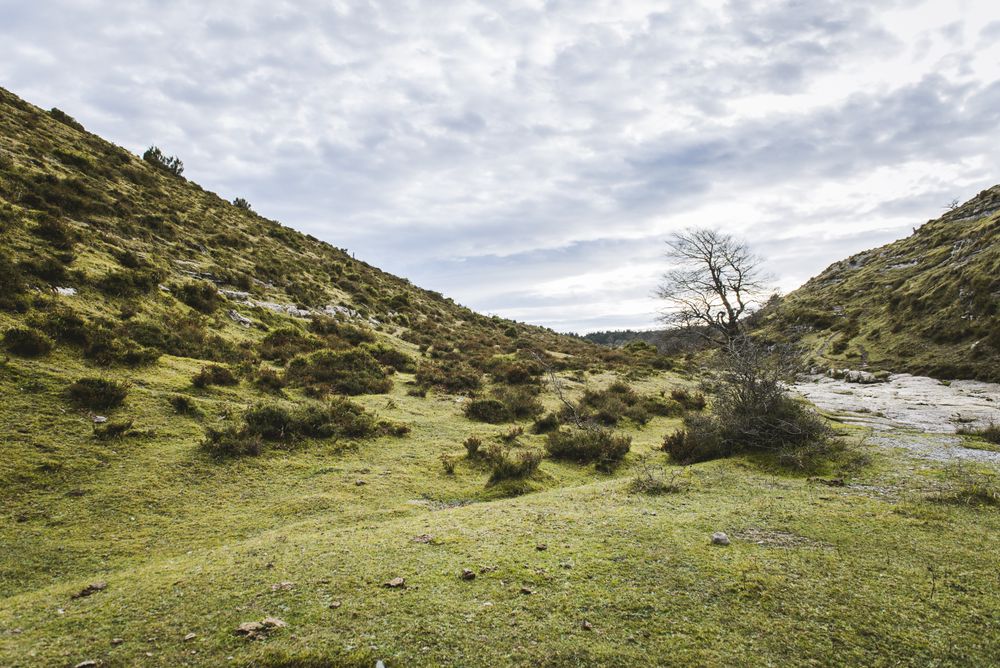 Green hill meadow valley