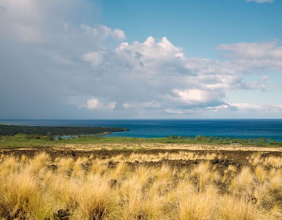 Remote seashore on Oahu