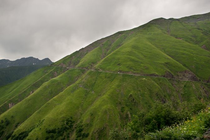 Wonderful view of foggy valley with lush greenery