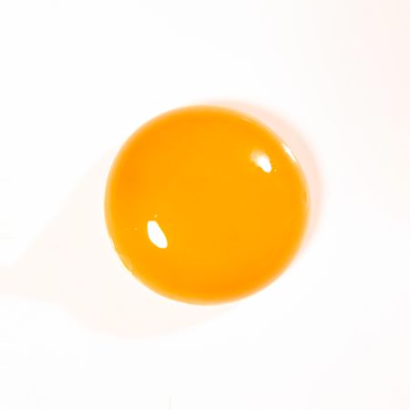 Egg yolk on light background
