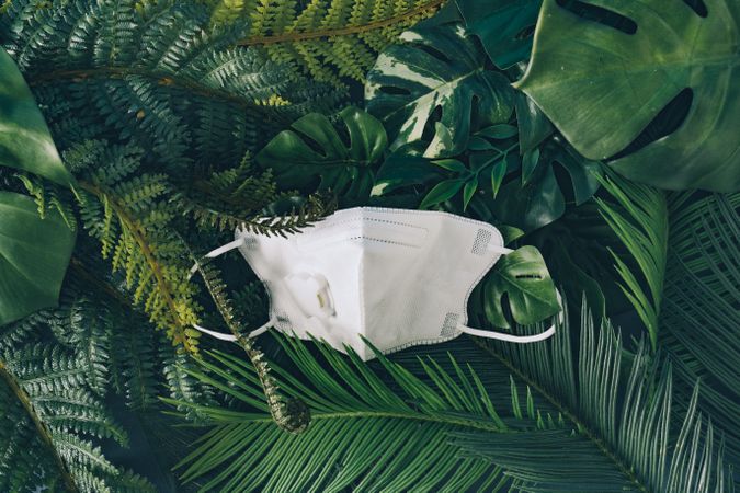 Respiratory or surgical face mask in foliage