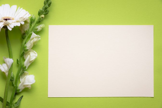 Top view of flowers and blank message card