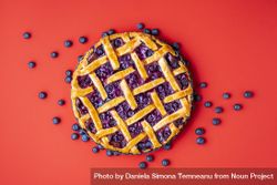 Traditional blueberry pie on red background 4mD3o5