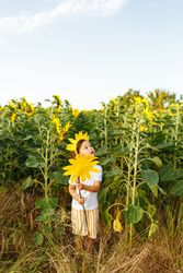 Cute child in blooming sunflower field