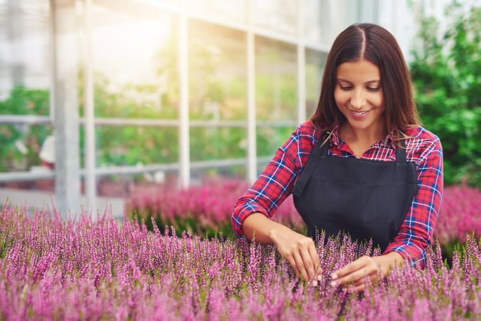 Smiling woman working with purple flowers in a greenhouse