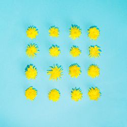Pattern of yellow spring flowers in square shape