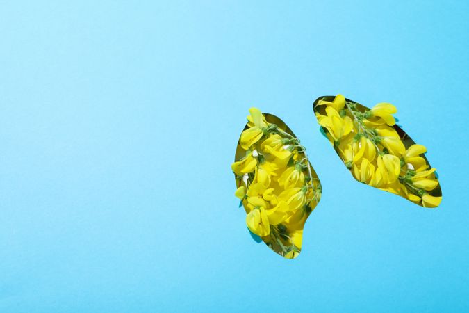 Lung shape cut out of blue paper with yellow flowers and copy space