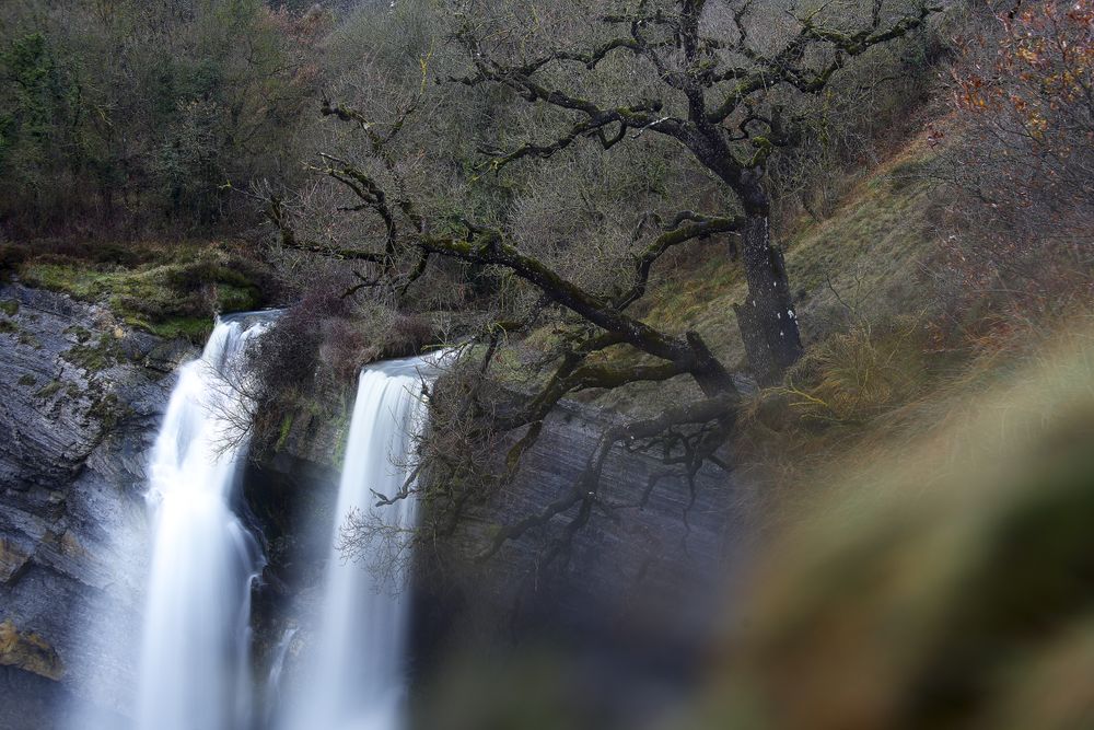 Autumn tree and waterfall