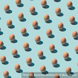 Pattern made of brown eggs on pastel blue background 5oVxz0