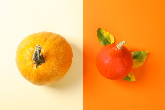 Pumpkins and leaves on two color background, space for text