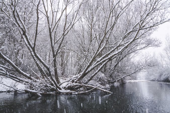 River streaming between snow forest