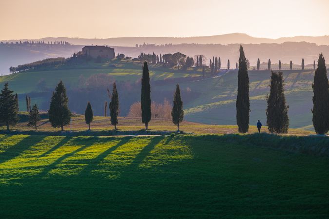 Wonderful empty green fields
