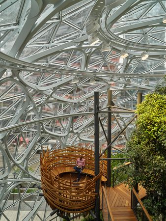 Top view of "the birdhouse" within the Amazon Spheres, at Amazon HQ, Seattle, Washington