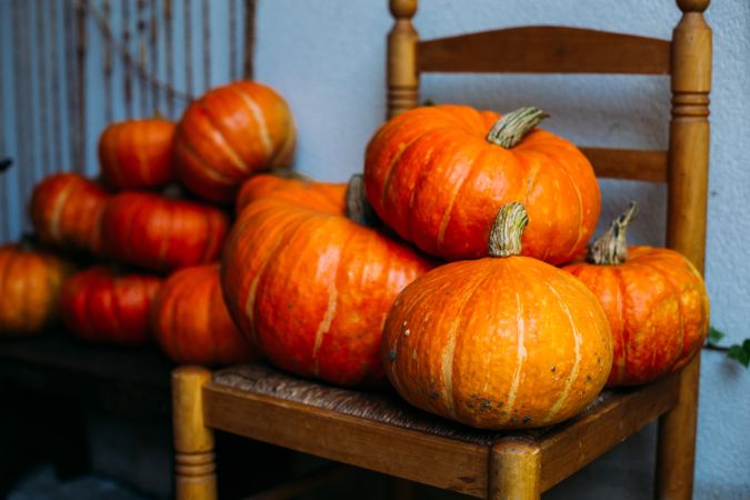Shiny orange pumpkins composed on chairs