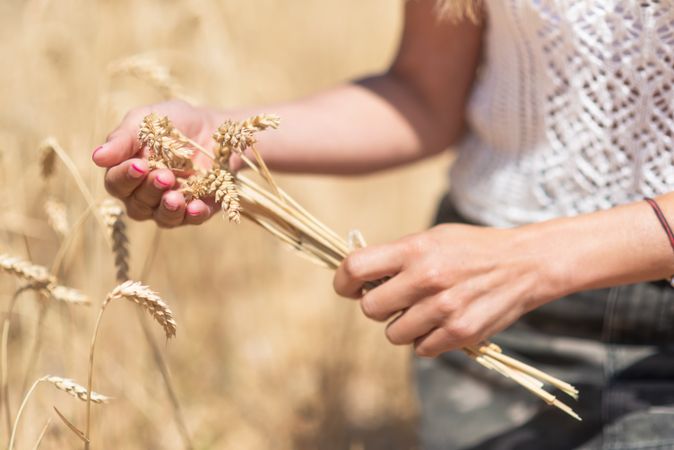 Crop woman with cereal grass in meadow