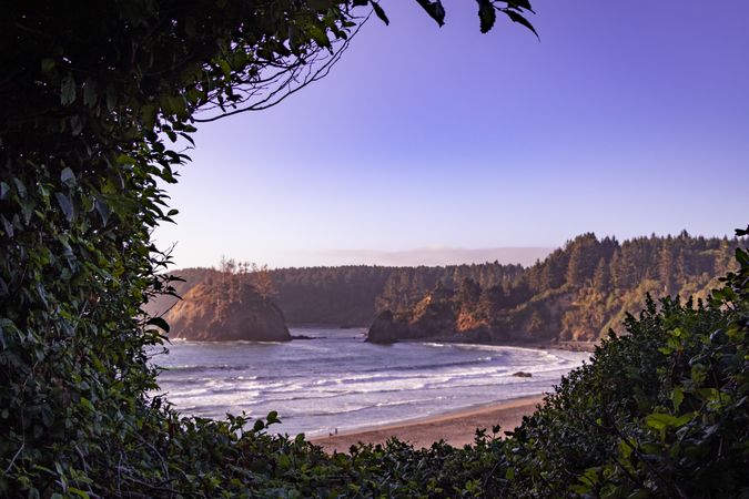 Outlook to the Pacific Ocean lined with trees