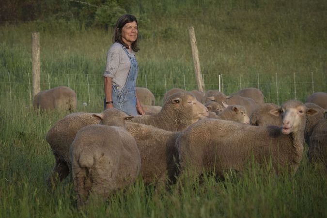 Smiling woman farmer stands her her flock of sheep and ewes