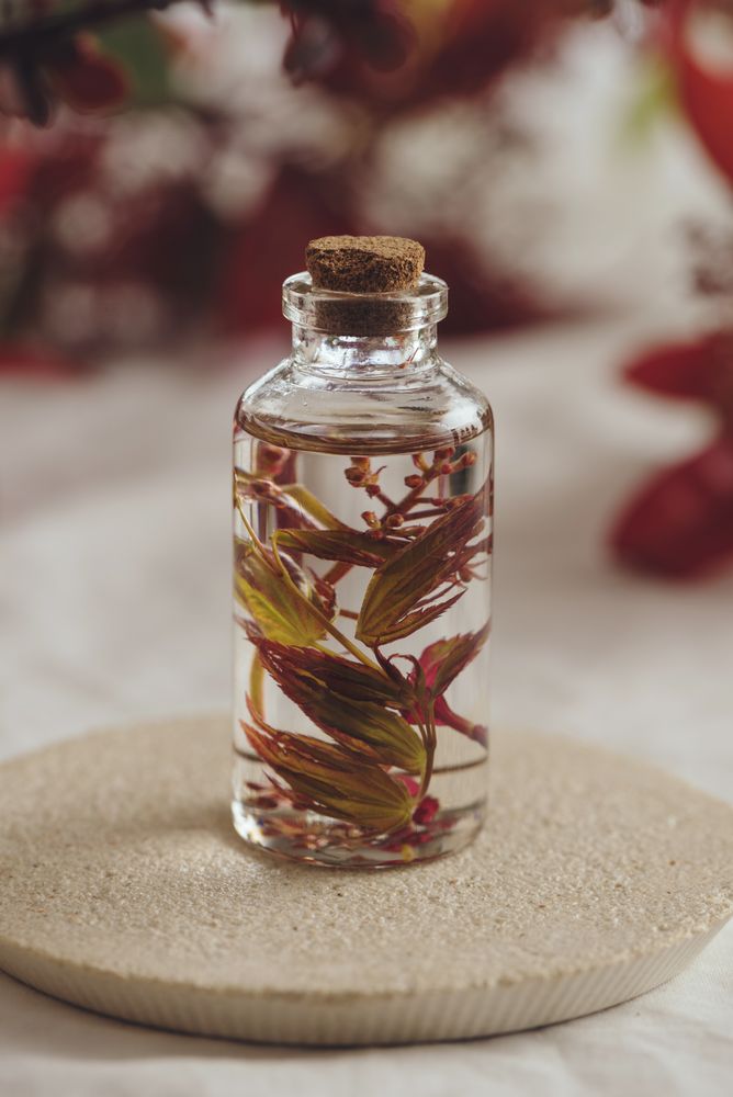Bottle with fresh plant in liquid between foliage