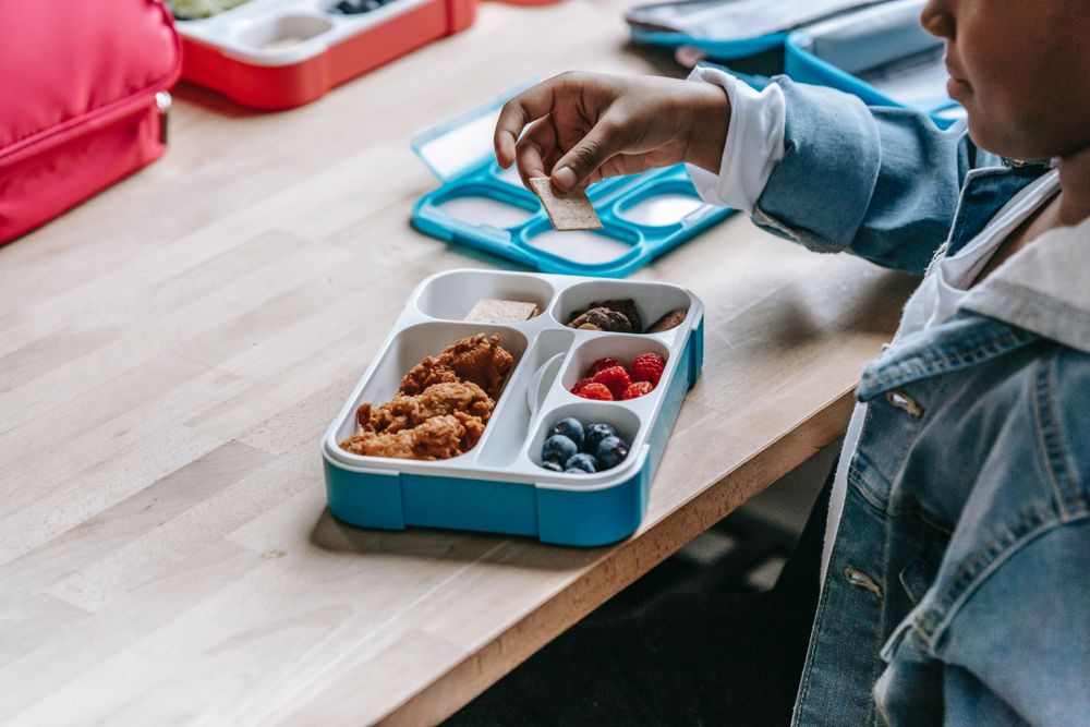 Boy taking a biscuit from his school lunch box
