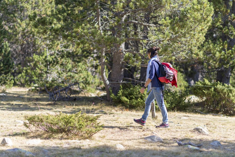 Side of woman trekking among trees in the woods