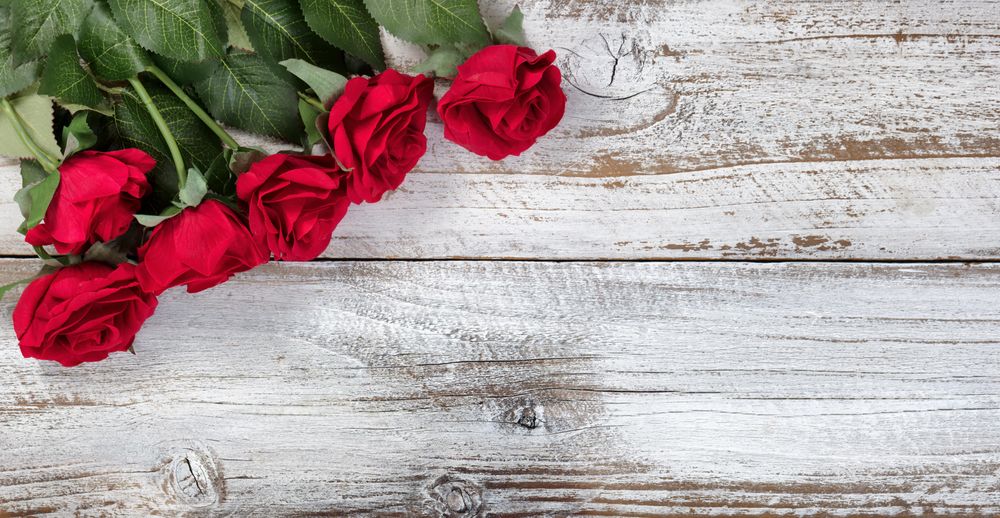 Red roses on rustic wood