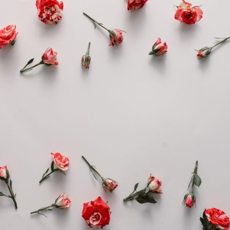 Colorful flowers pattern with copy space on light background