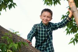 Boy relaxing on tree branch
