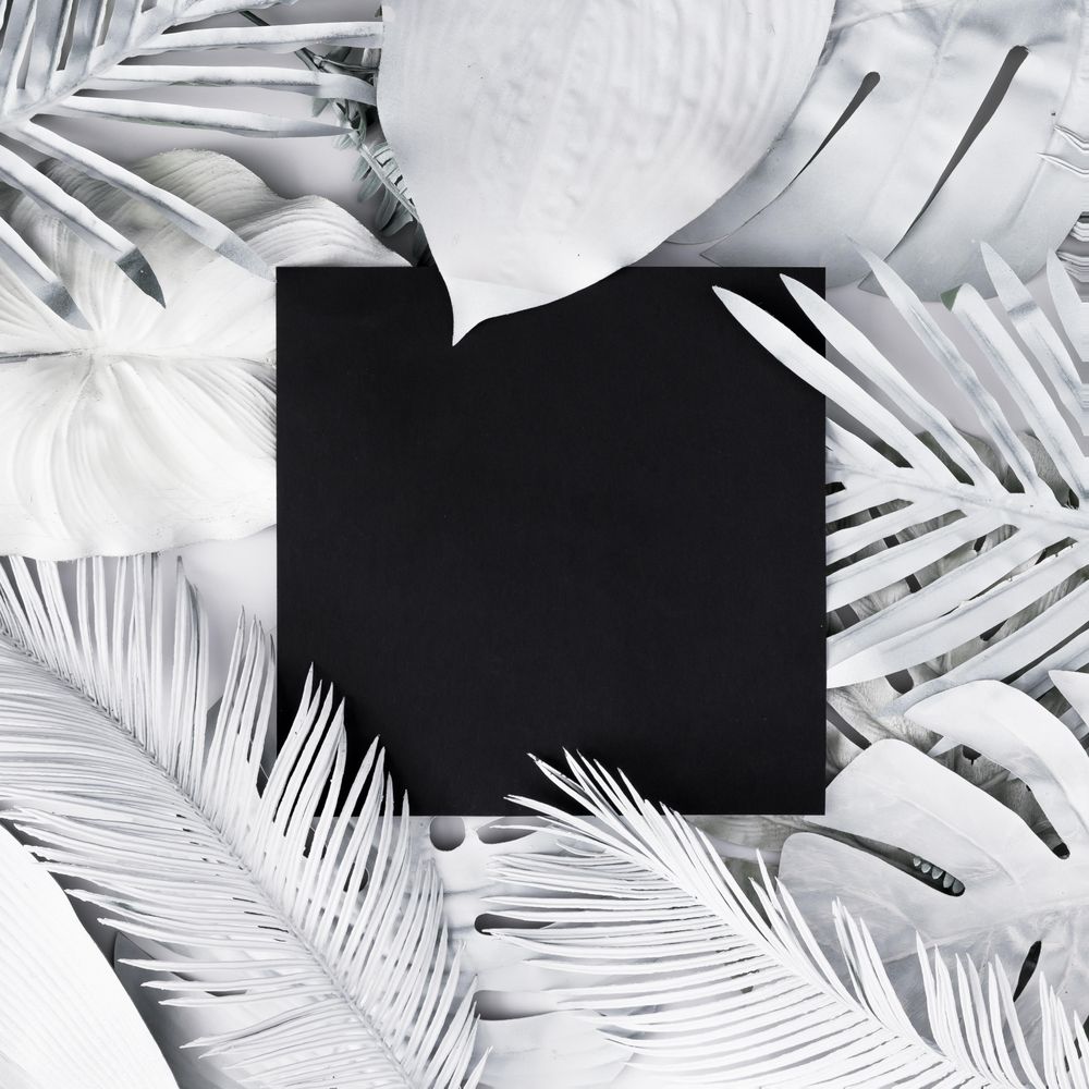 Tropical and palm leaves with square in desaturated colors