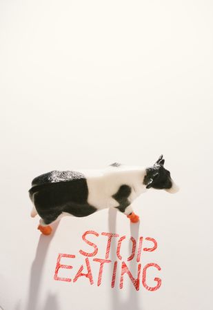 Slogan calling to stop eating animals