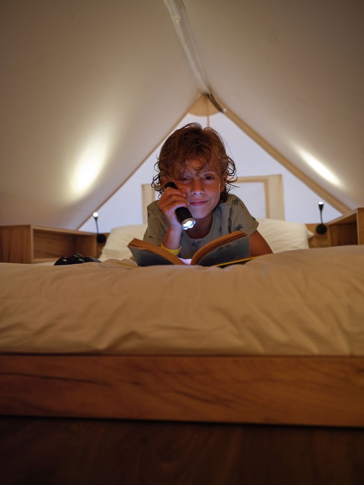 Positive boy with book and flashlight