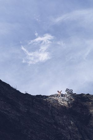 Anonymous man climbing rock