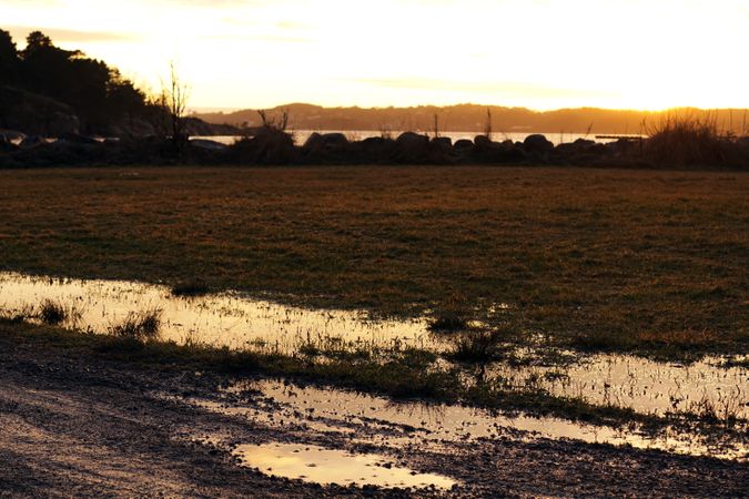 Peaceful meadow near lake at sunset