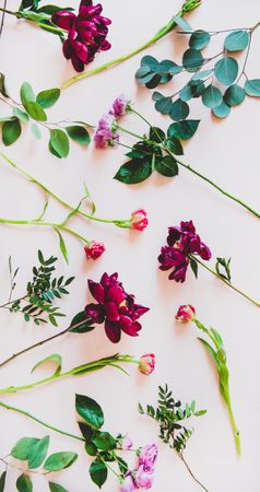 Various scattered summer flowers flat-lay, vertical composition