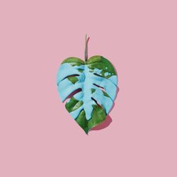 Blue paint splatter over tropical leaf on pink pastel