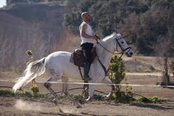 Man riding horse around paddock on sunny day