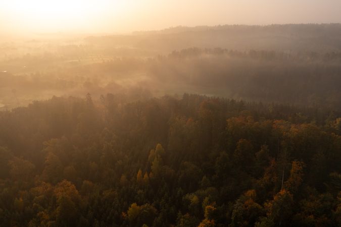 Drone image with a foggy scenery, multi-colored autumn forest at sunrise