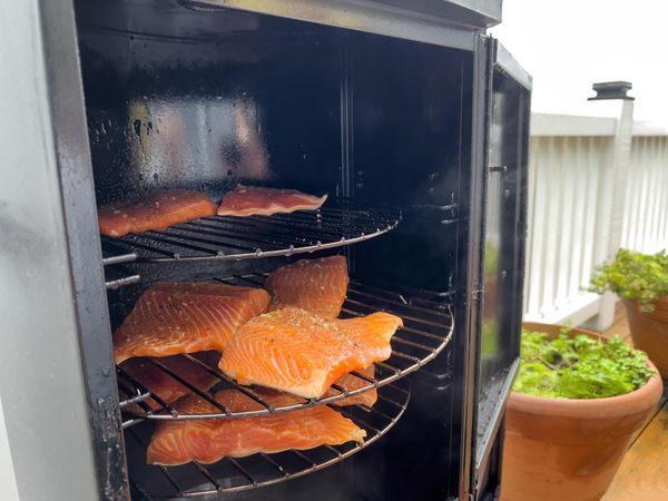 Open smoker with raw fish fillet inside