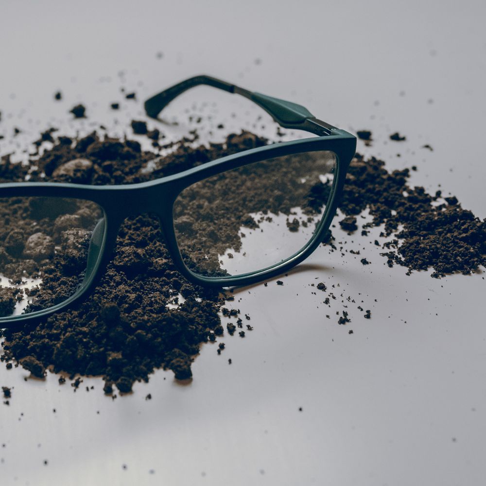 Eyeglasses resting on soil on light table