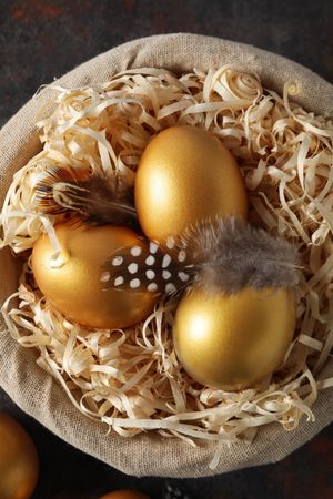 Pension rewards, returns and investment funding concepts, golden eggs