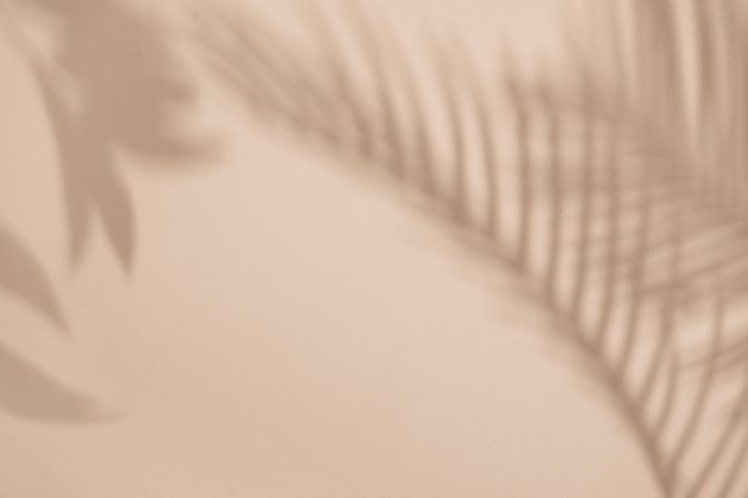 Flat lay of shadow of palm leaf beige background