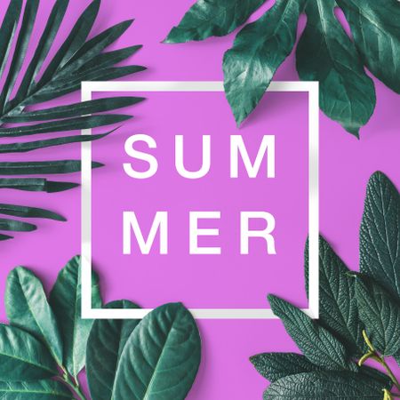 Green leaves on purple background with light  frame and “SUMMER” text