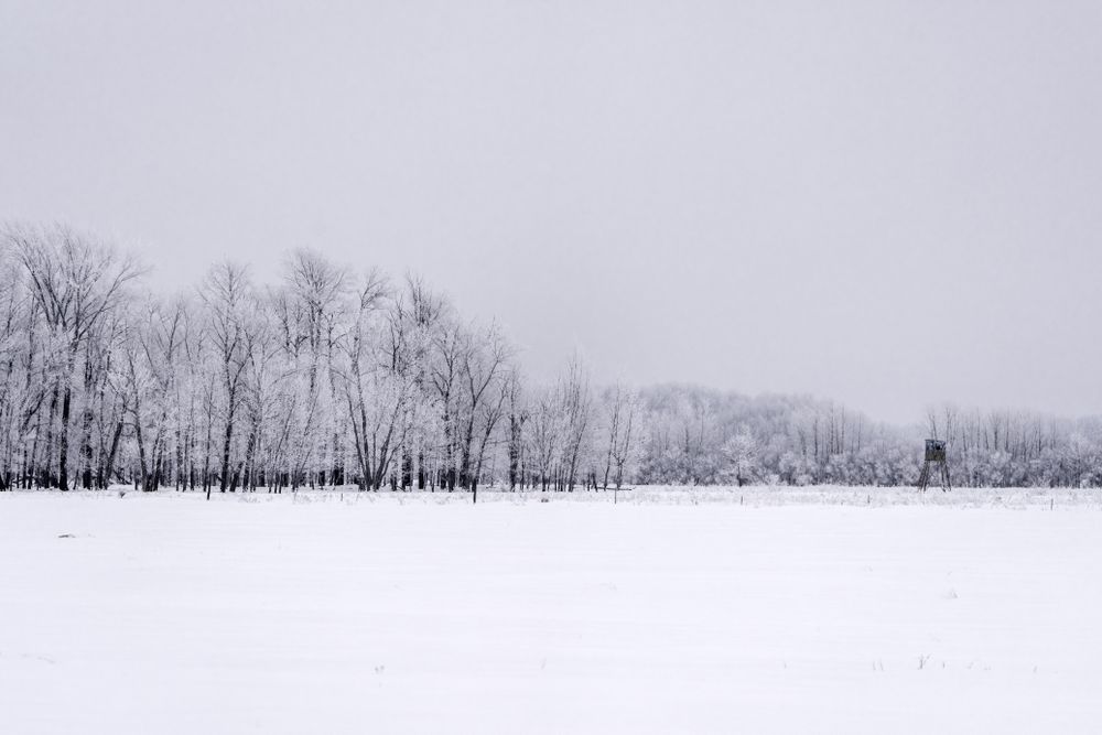 Hunting blind and snow in Aitkin County, Minnesota
