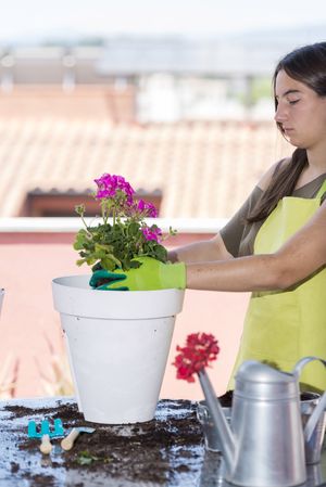 Female teenage potting a pink plant on patio